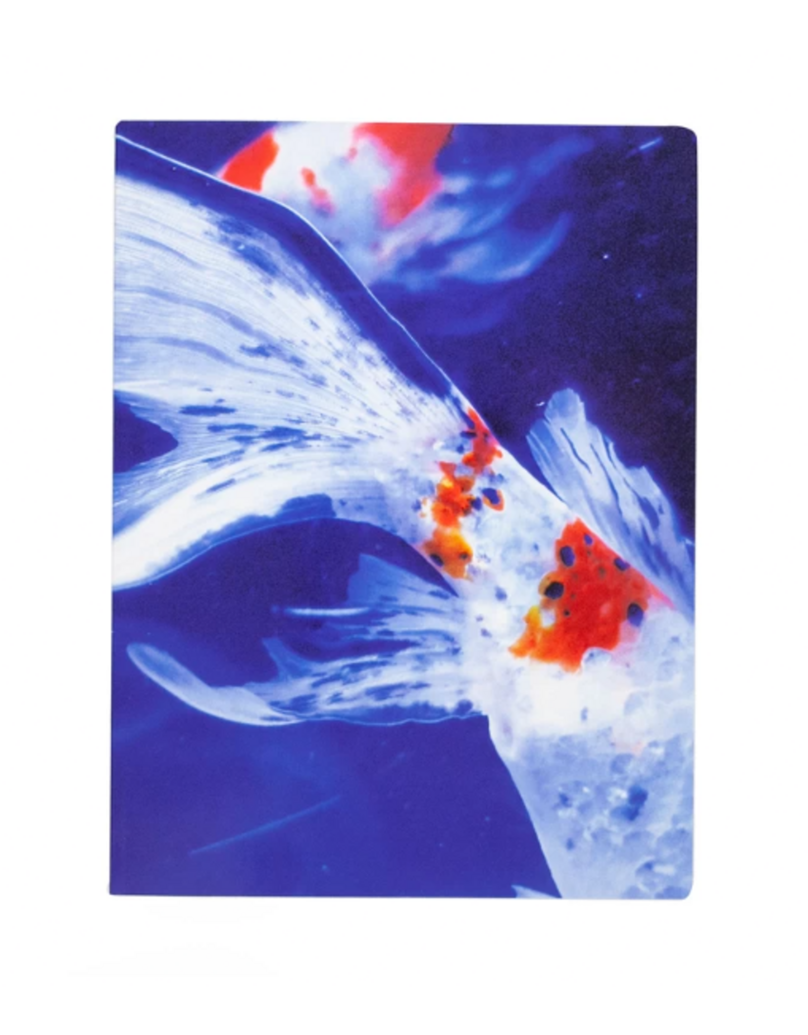 Akio Nagasawa Publishing Mika Ninagawa: Eternity in a Moment Vol. 3