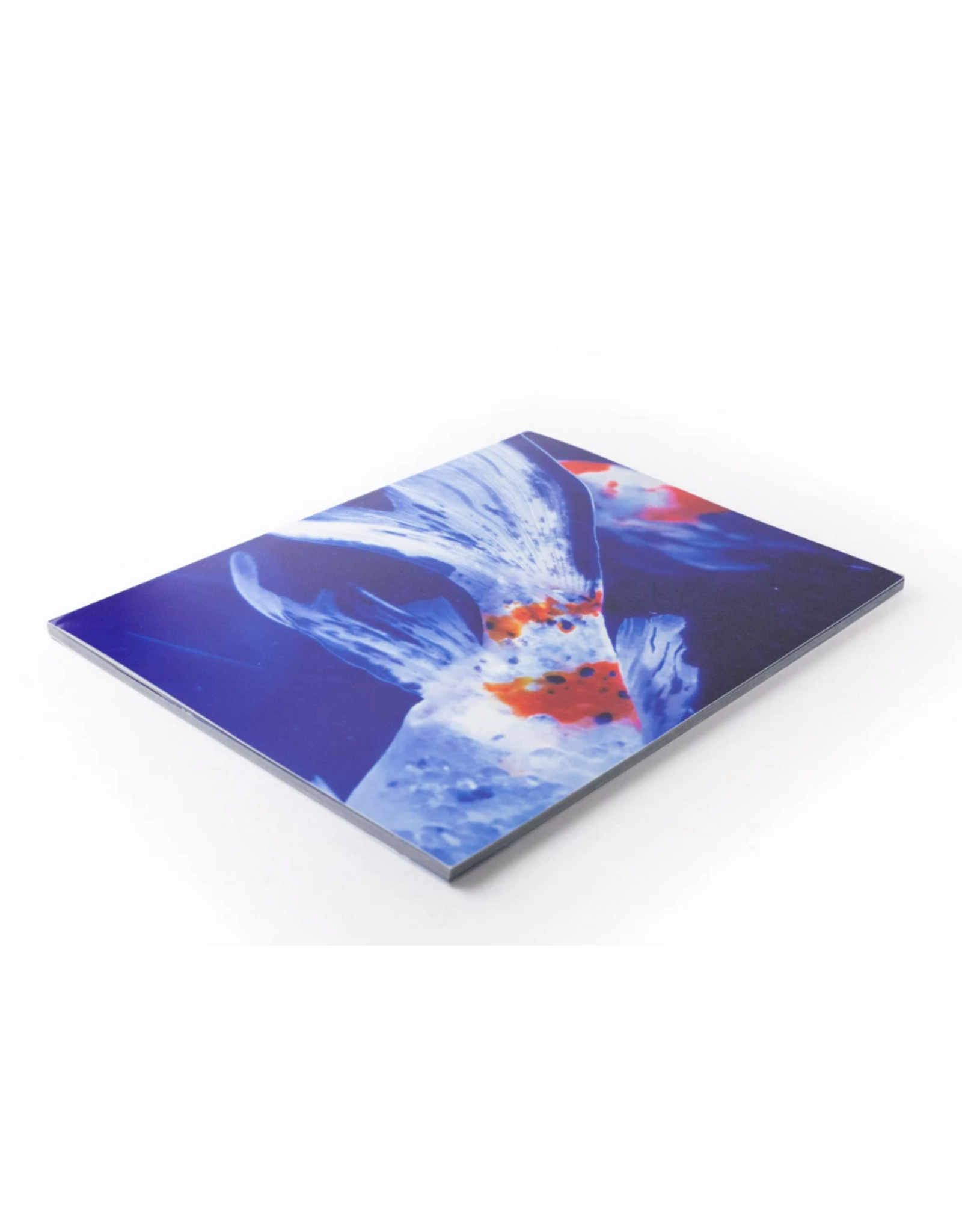 Akio Nagasawa Publishing Mika Ninagawa: Eternity in a Moment Vol. 3