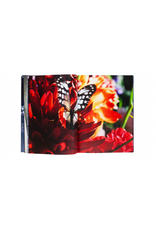 Akio Nagasawa Publishing Mika Ninagawa: Eternity in a Moment Vol. 3