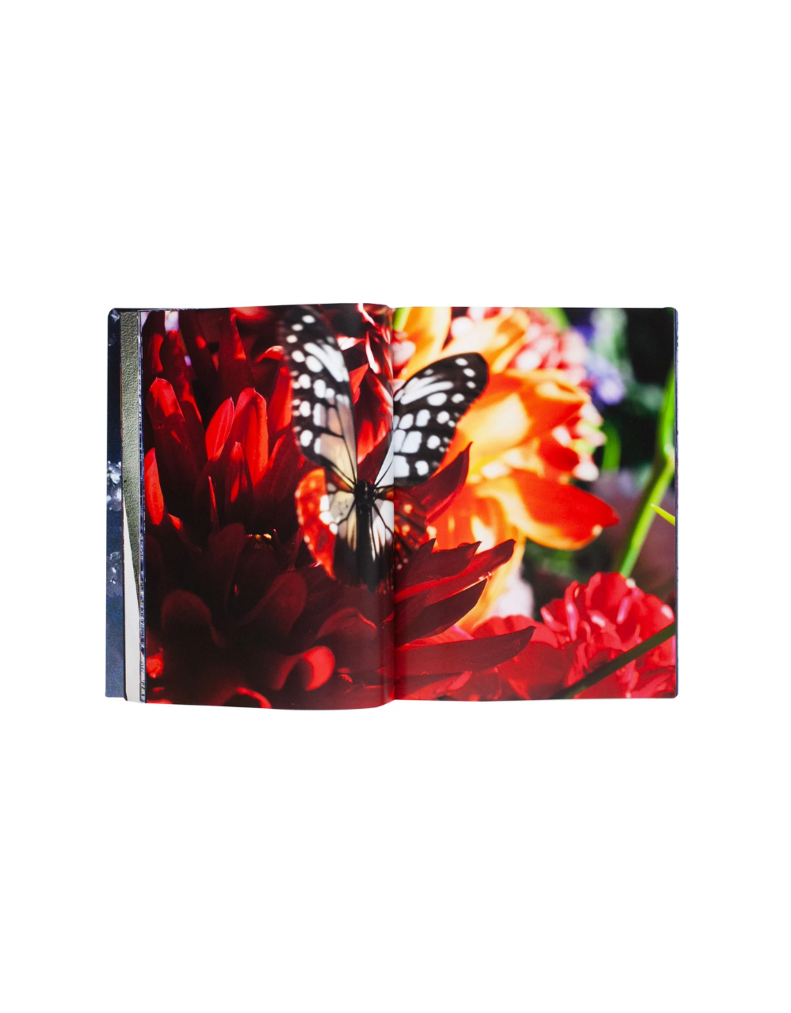 Akio Nagasawa Publishing Mika Ninagawa: Eternity in a Moment Vol. 3