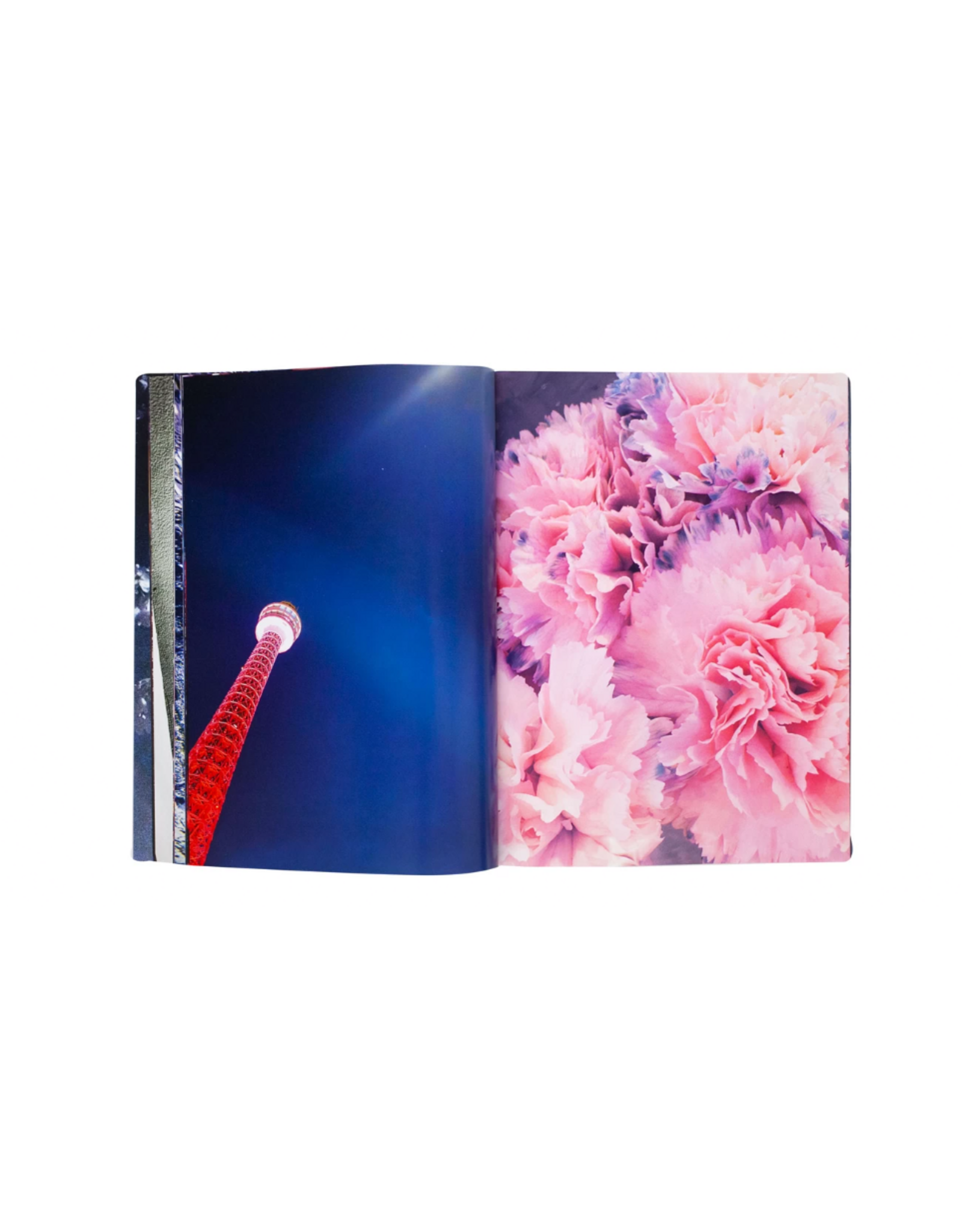 Akio Nagasawa Publishing Mika Ninagawa: Eternity in a Moment Vol. 3