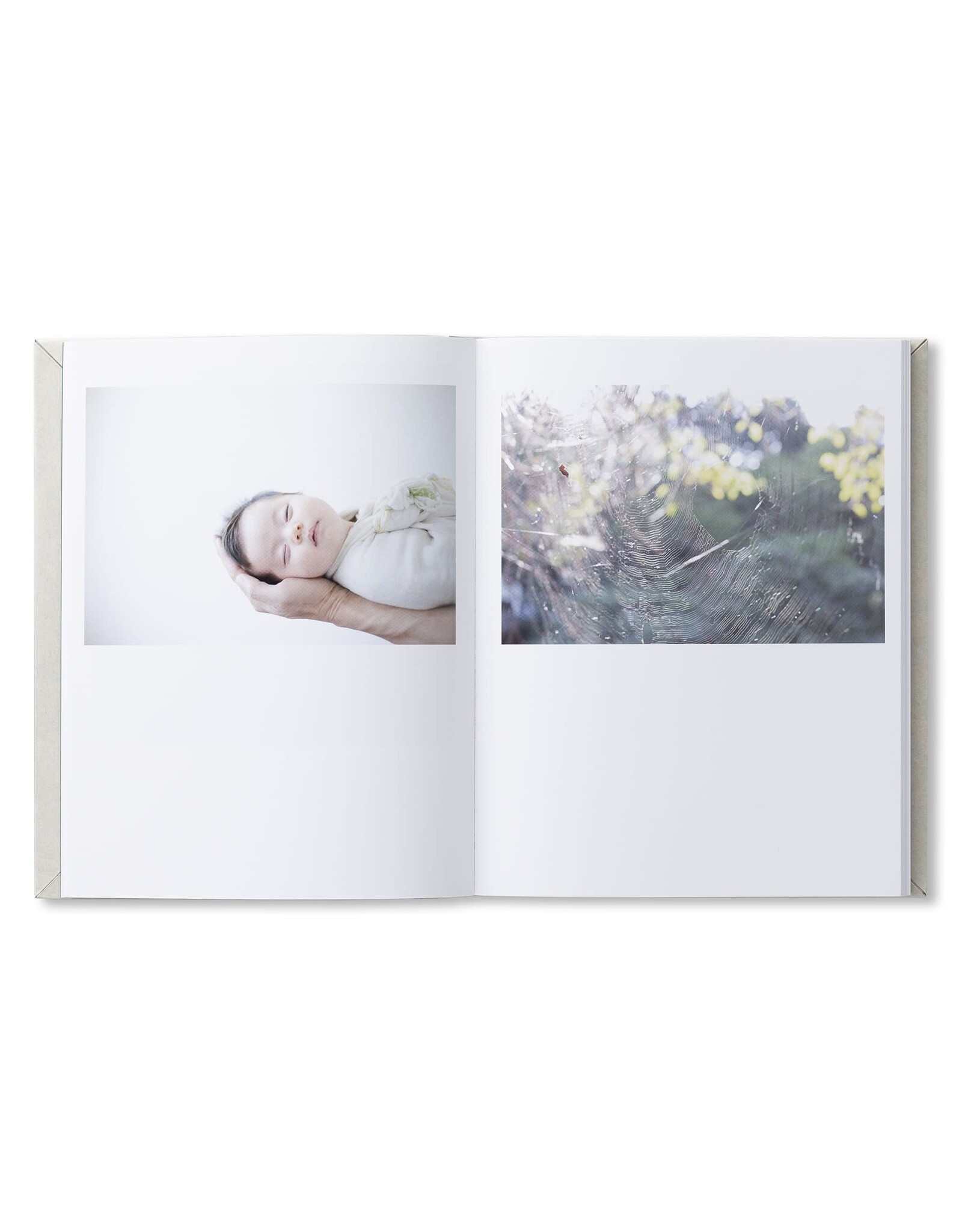 Torch Press Rinko Kawauchi: as it is
