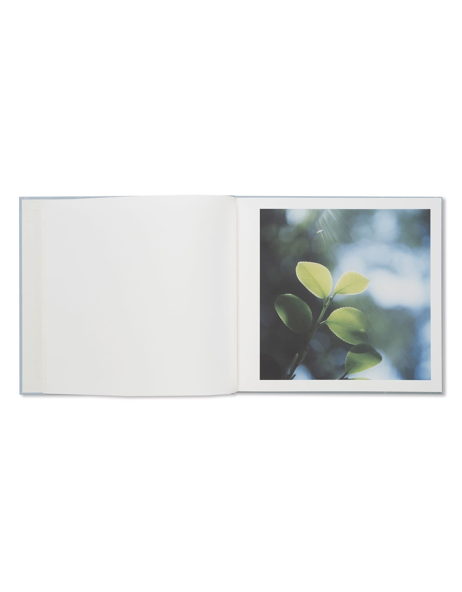 Torch Press Rinko Kawauchi & Shuntaro Tanikawa: Here and Now