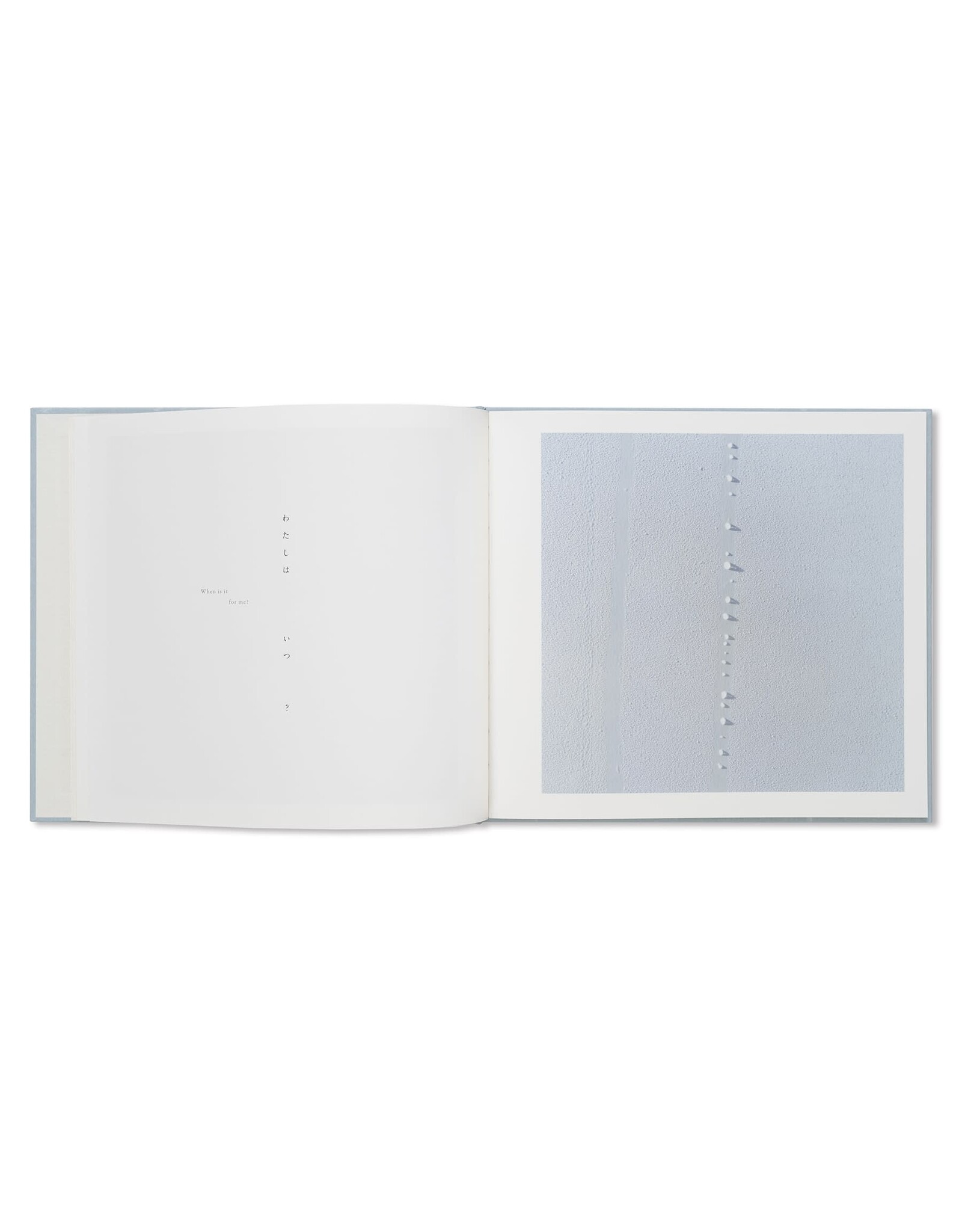 Torch Press Rinko Kawauchi & Shuntaro Tanikawa: Here and Now