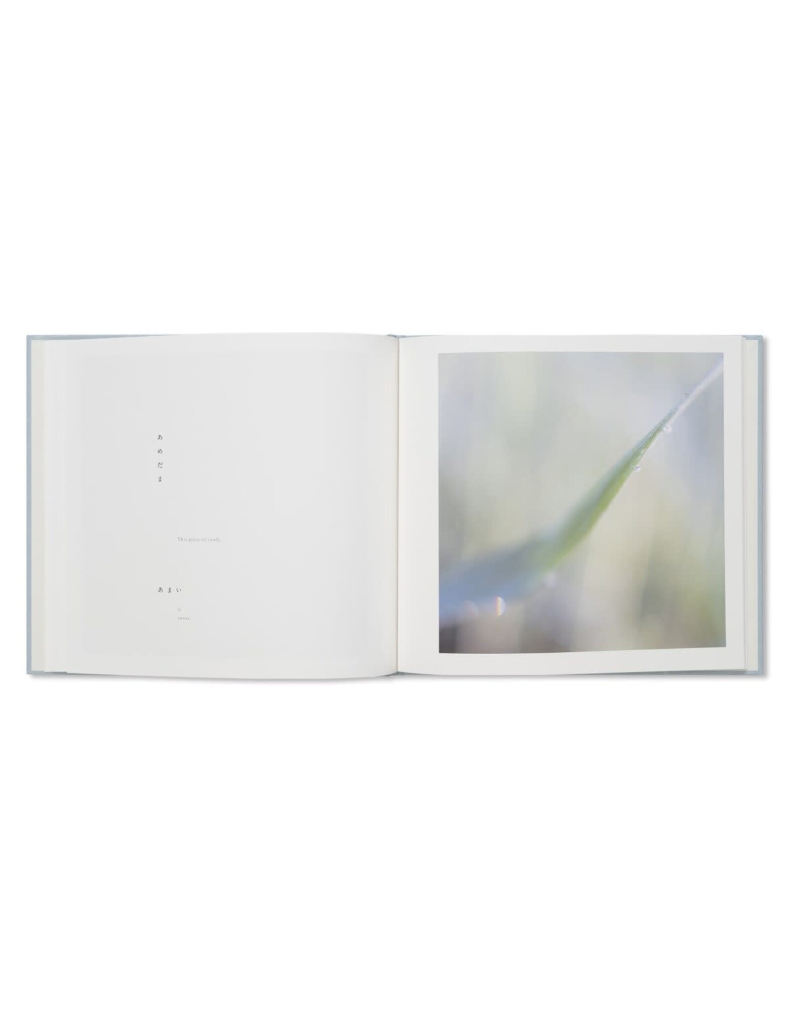 Torch Press Rinko Kawauchi & Shuntaro Tanikawa: Here and Now