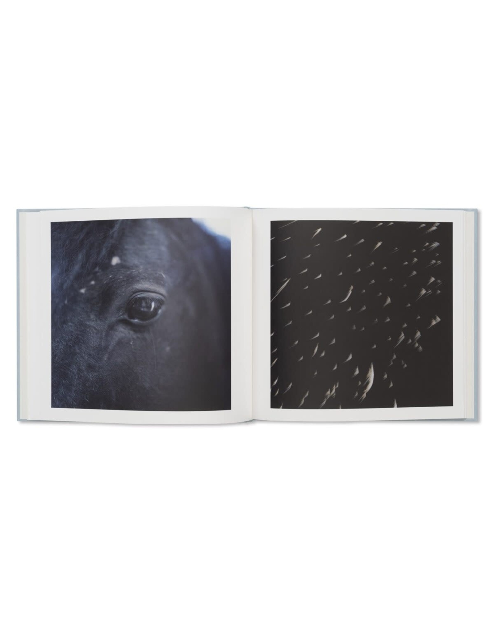 Torch Press Rinko Kawauchi & Shuntaro Tanikawa: Here and Now