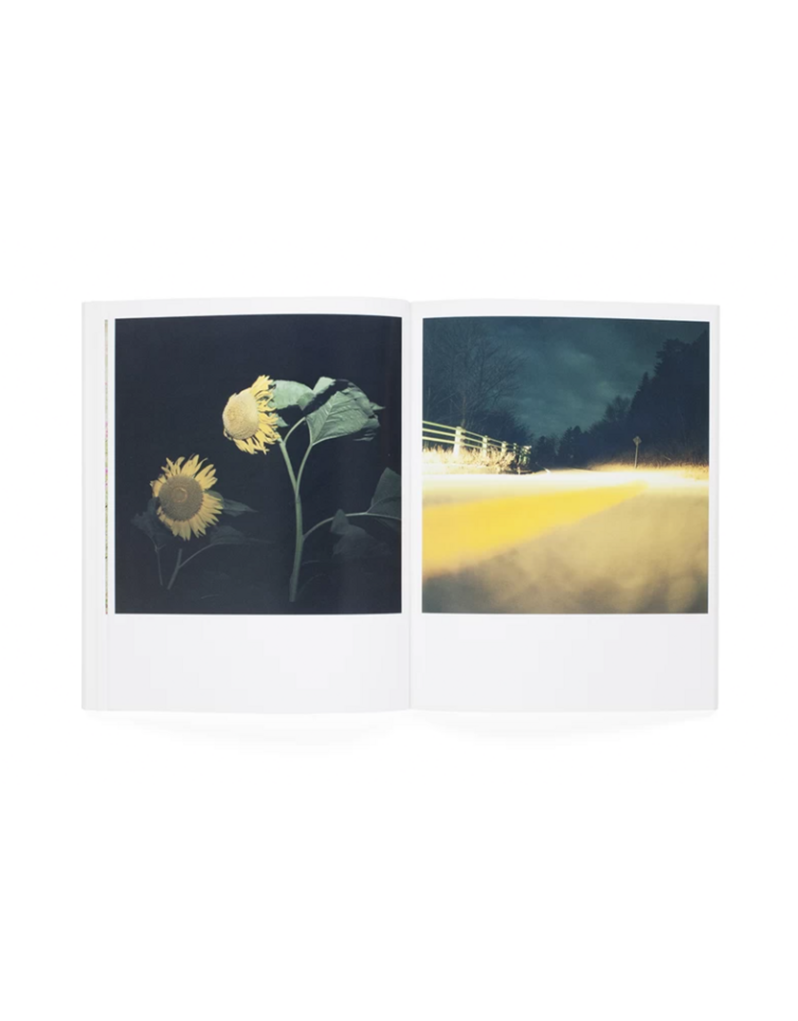 Rinko Kawauchi: Utatane