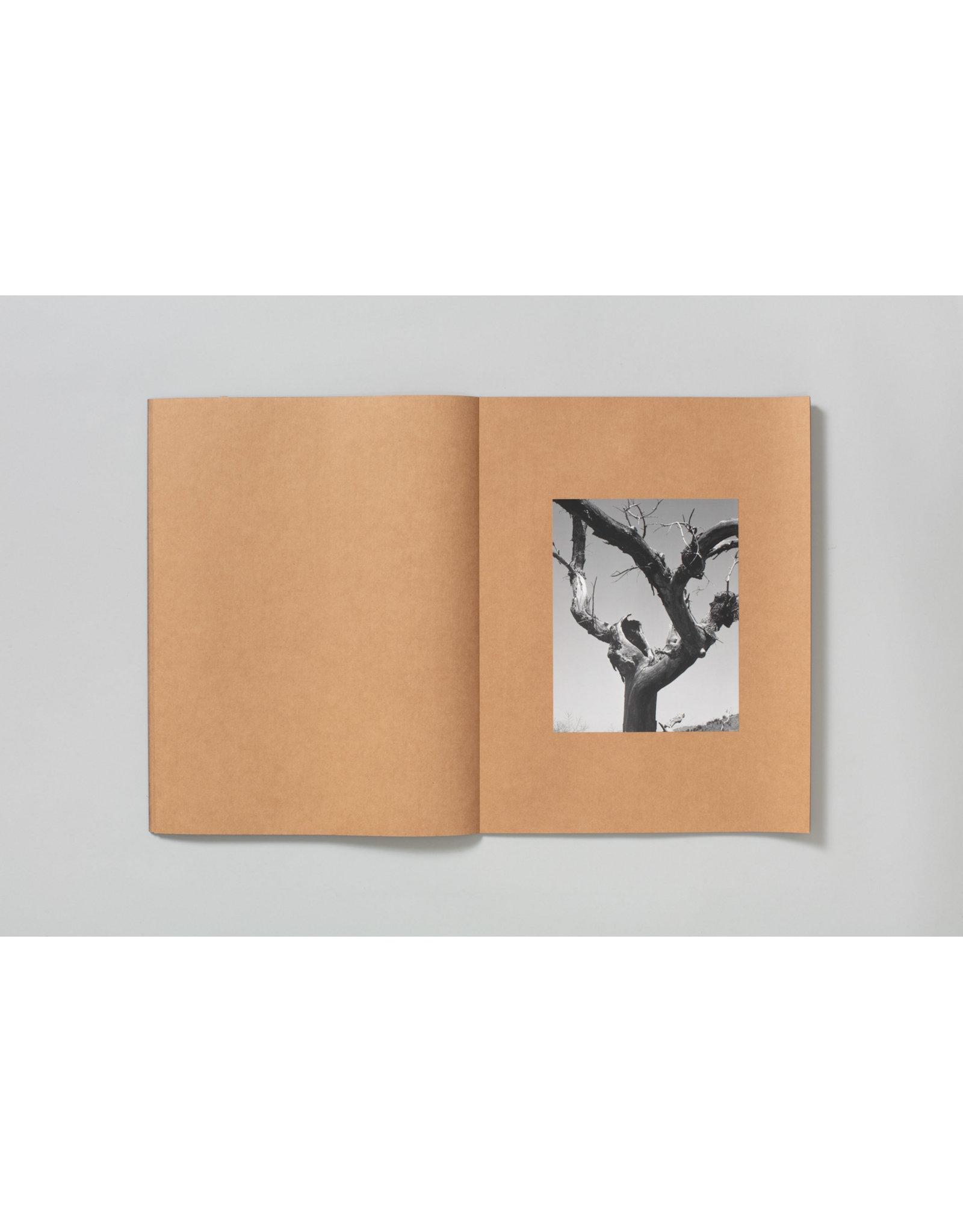TBW Books Mark Armijo McKnight: Posthume