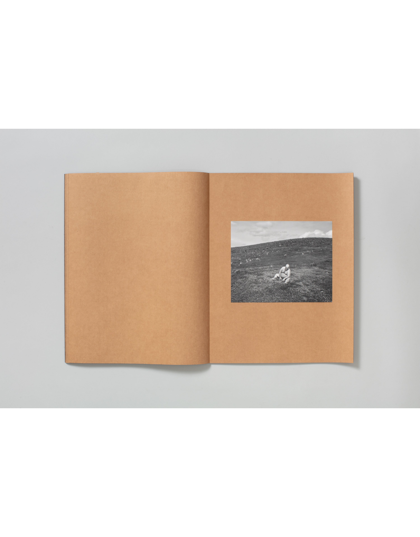 TBW Books Mark Armijo McKnight: Posthume