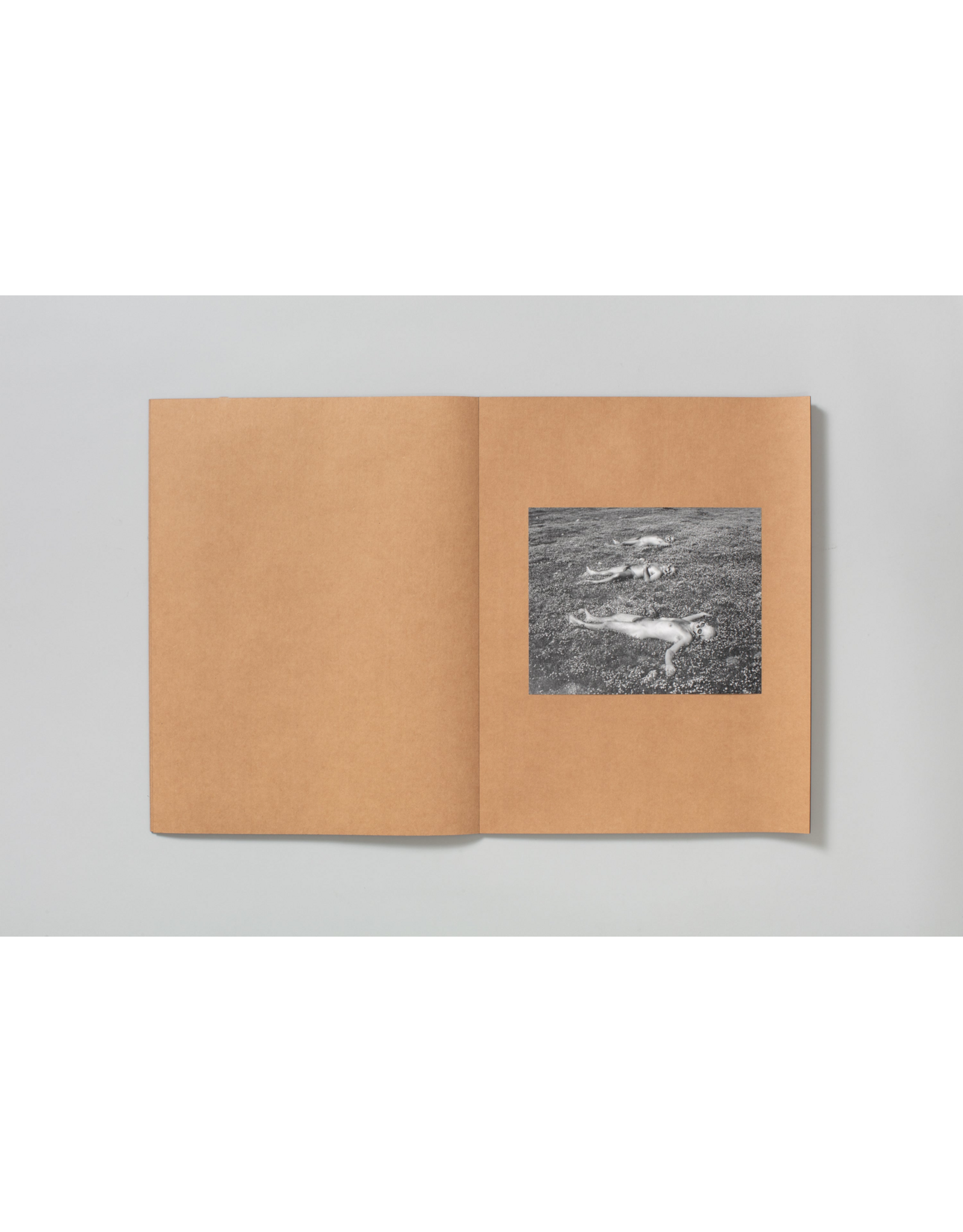 TBW Books Mark Armijo McKnight: Posthume