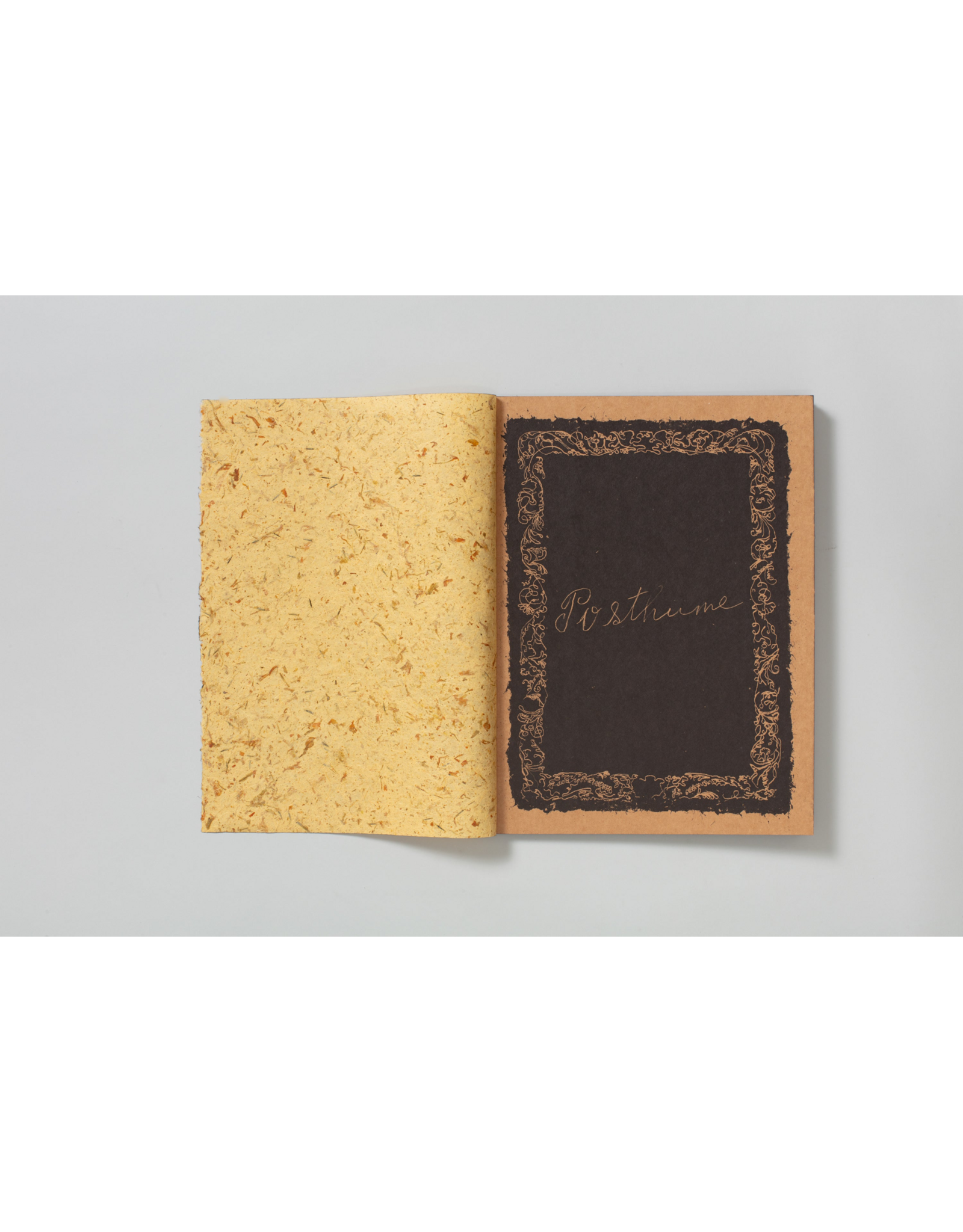 TBW Books Mark Armijo McKnight: Posthume