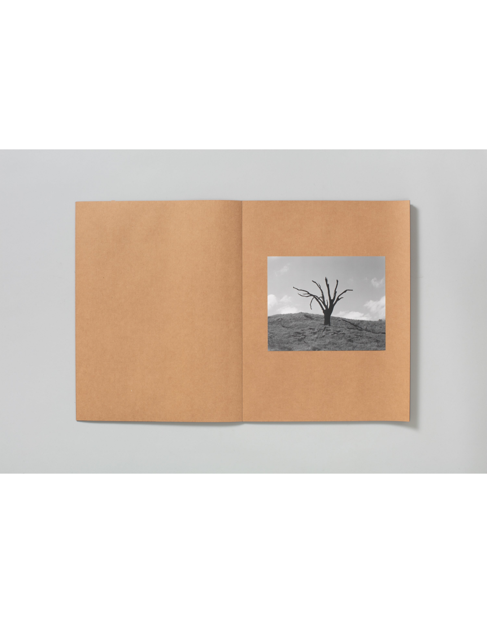 TBW Books Mark Armijo McKnight: Posthume