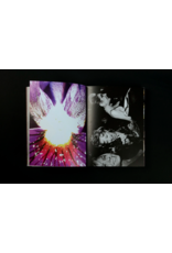 Void Jeff Mermelstein: What if Jeff were a Butterfly?