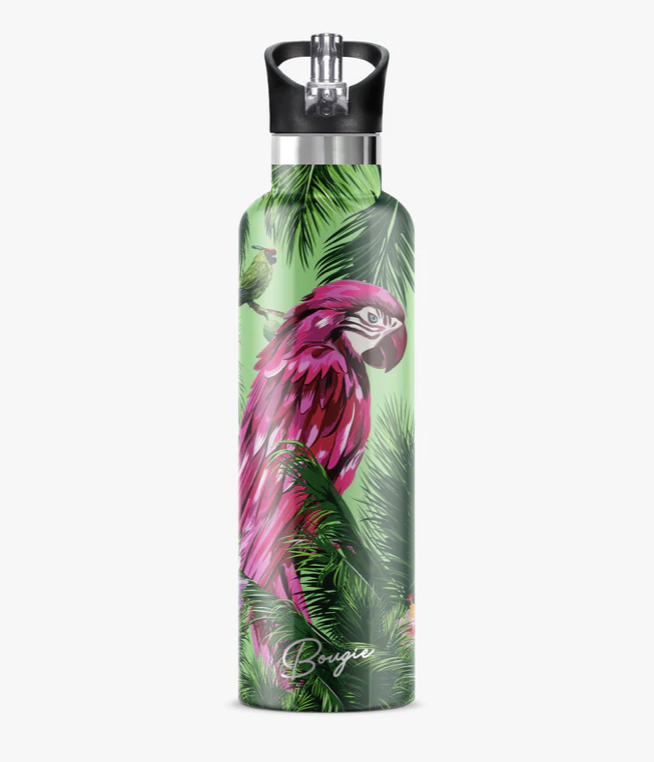 Bougie Bottle Bougie Bottles Bougie Bottle Bougie Bottles