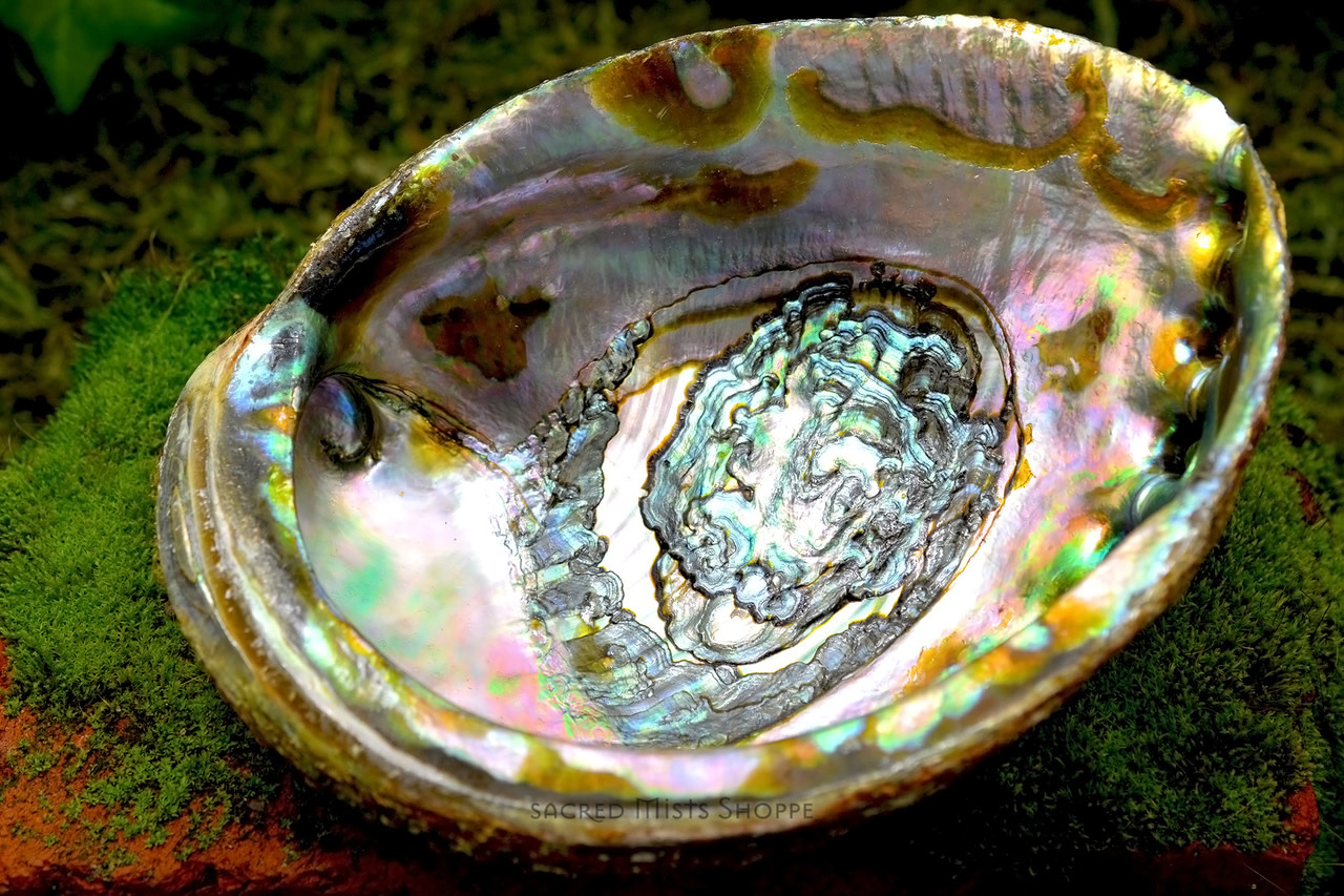 Crystal Mana Abalone Shell Crystal Mana Abalone Shell