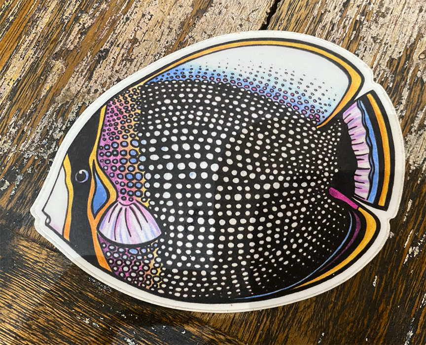 Celeste Holmes Stickers Butterflyfish Celeste Holmes Stickers Butterflyfish