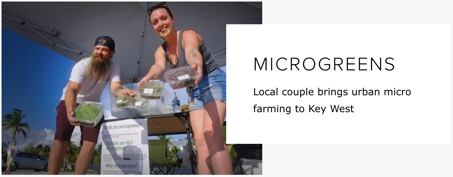 MICROGREENS Local couple brings urban micro farming to Key West