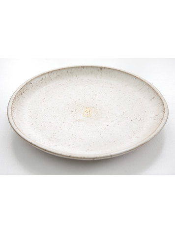 Shade & Shutter Dinner Plate in Sea Foam