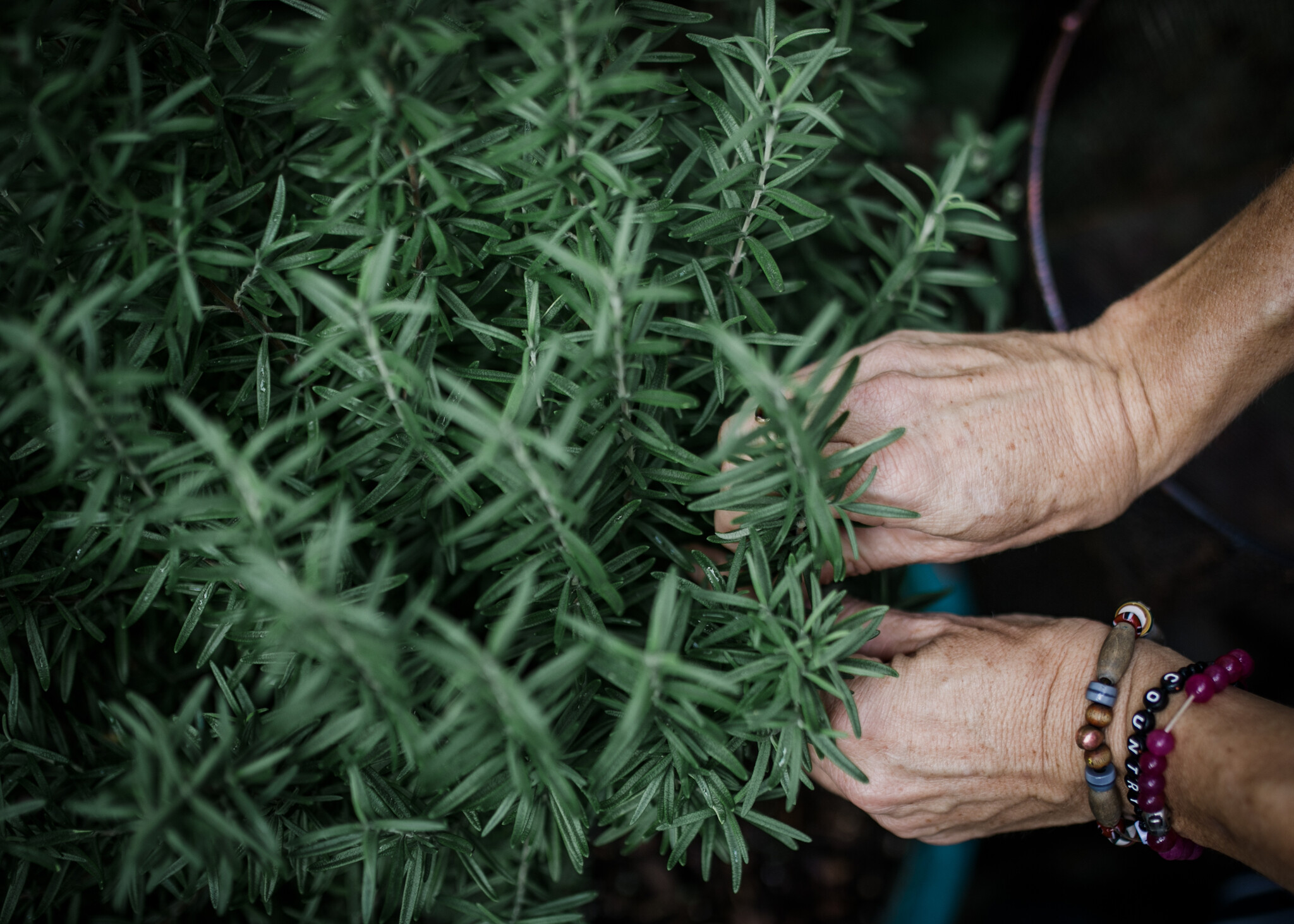 The Green Pineapple Farm to Table Dinners