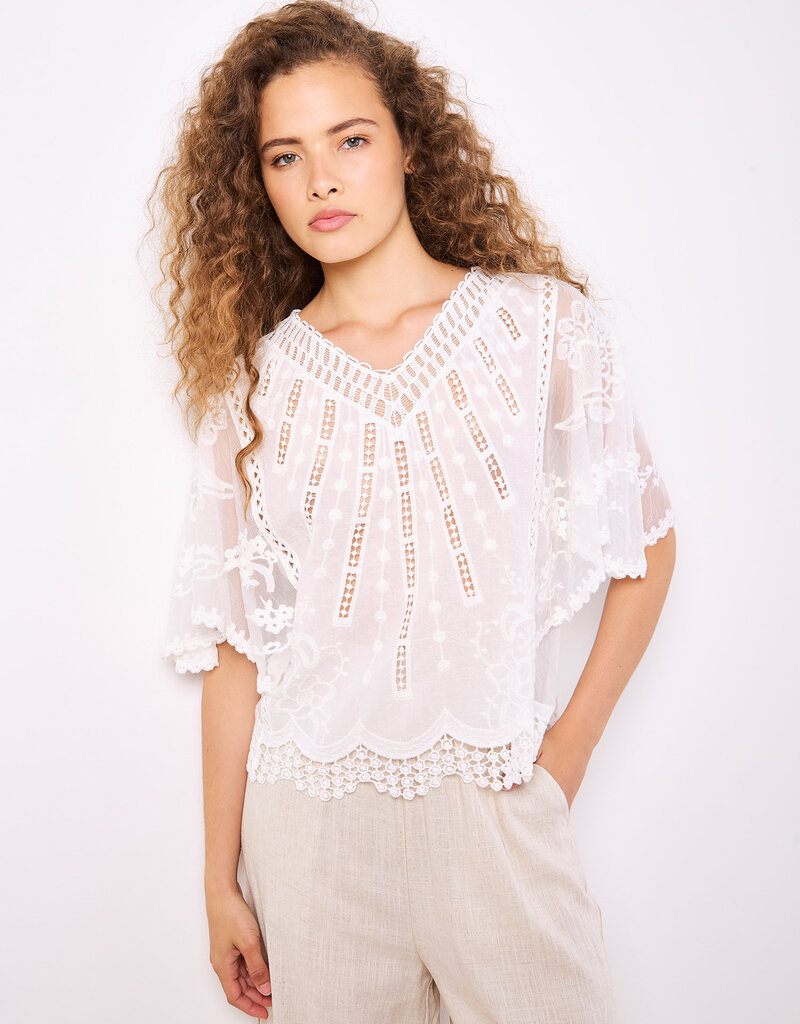 Apricot Embroidered Cotton Mesh V Neck Top