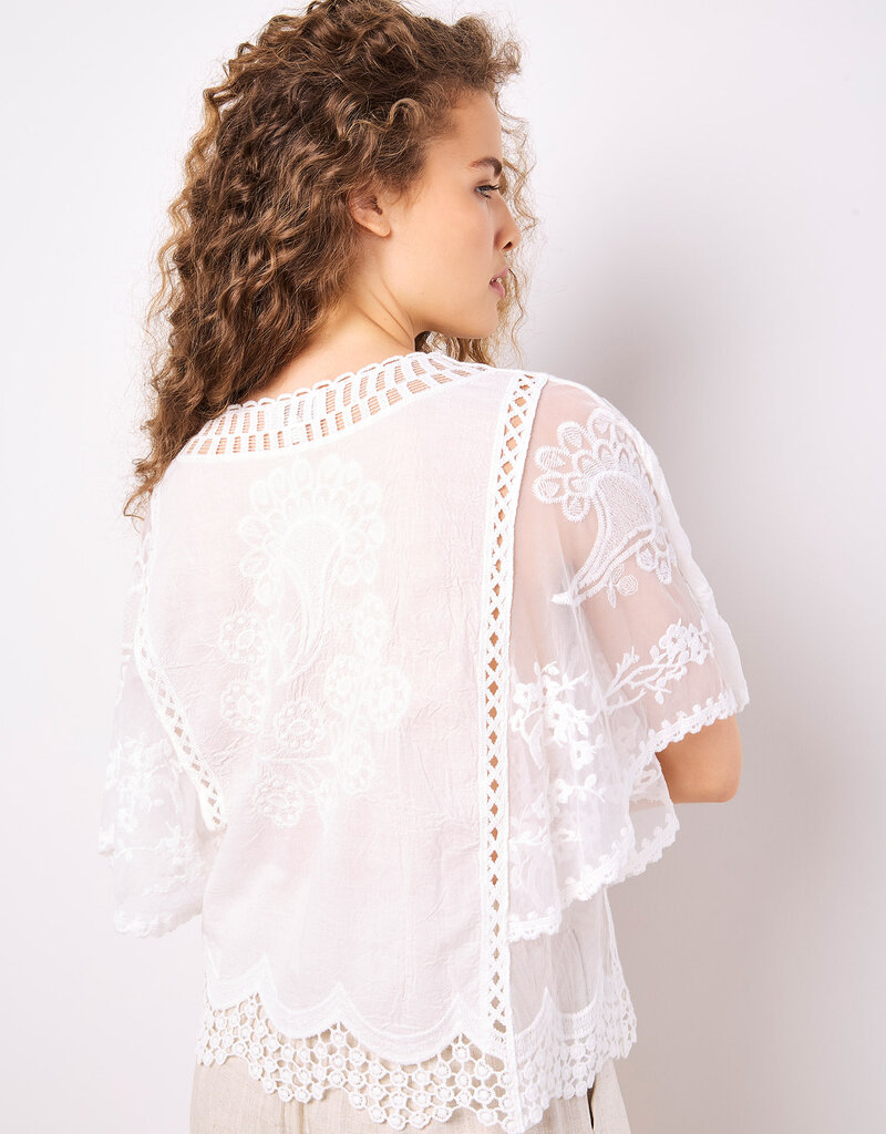 Apricot Embroidered Cotton Mesh V Neck Top