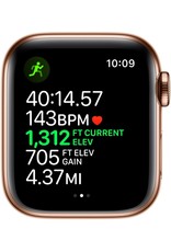 apple watch 4 cellular 40mm gold