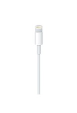 APPLE APPLE LIGHTNING TO USB (2M)