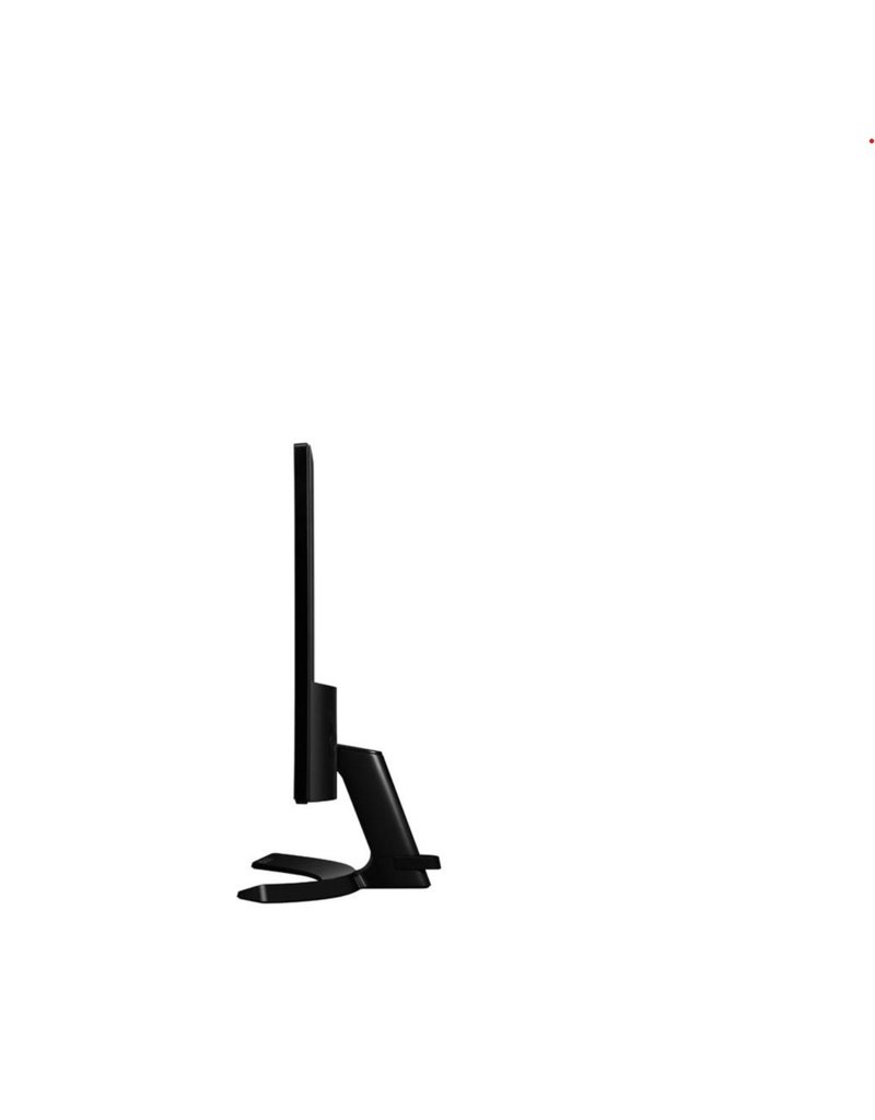 DISPLAY 22" WITH HDMI