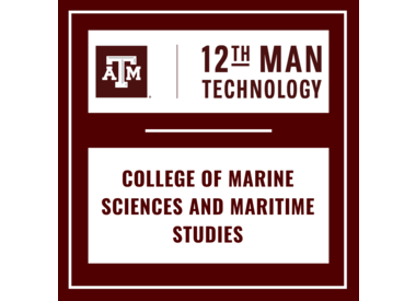 College of Maritime Sciences and Maritime Studies