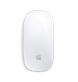 APPLE MAGIC MOUSE MULTI-TOUCH SURFACE