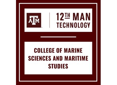 College of Maritime Sciences and Maritime Studies