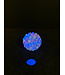 44. Peter Boyle Large UV Hobnail