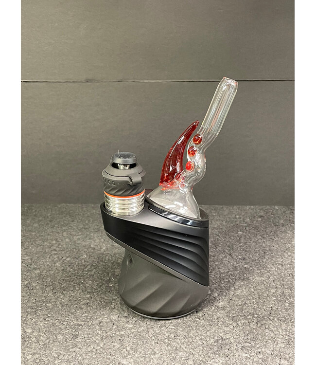 Magizle Magizle Clear w/ Color Horn Straw