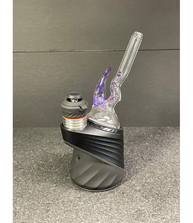 Magizle Magizle Clear w/ Color Horn Straw