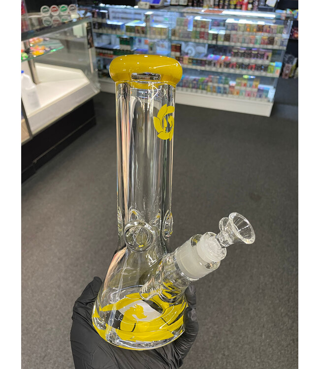 Glass House Waterpipe 10" 9mm