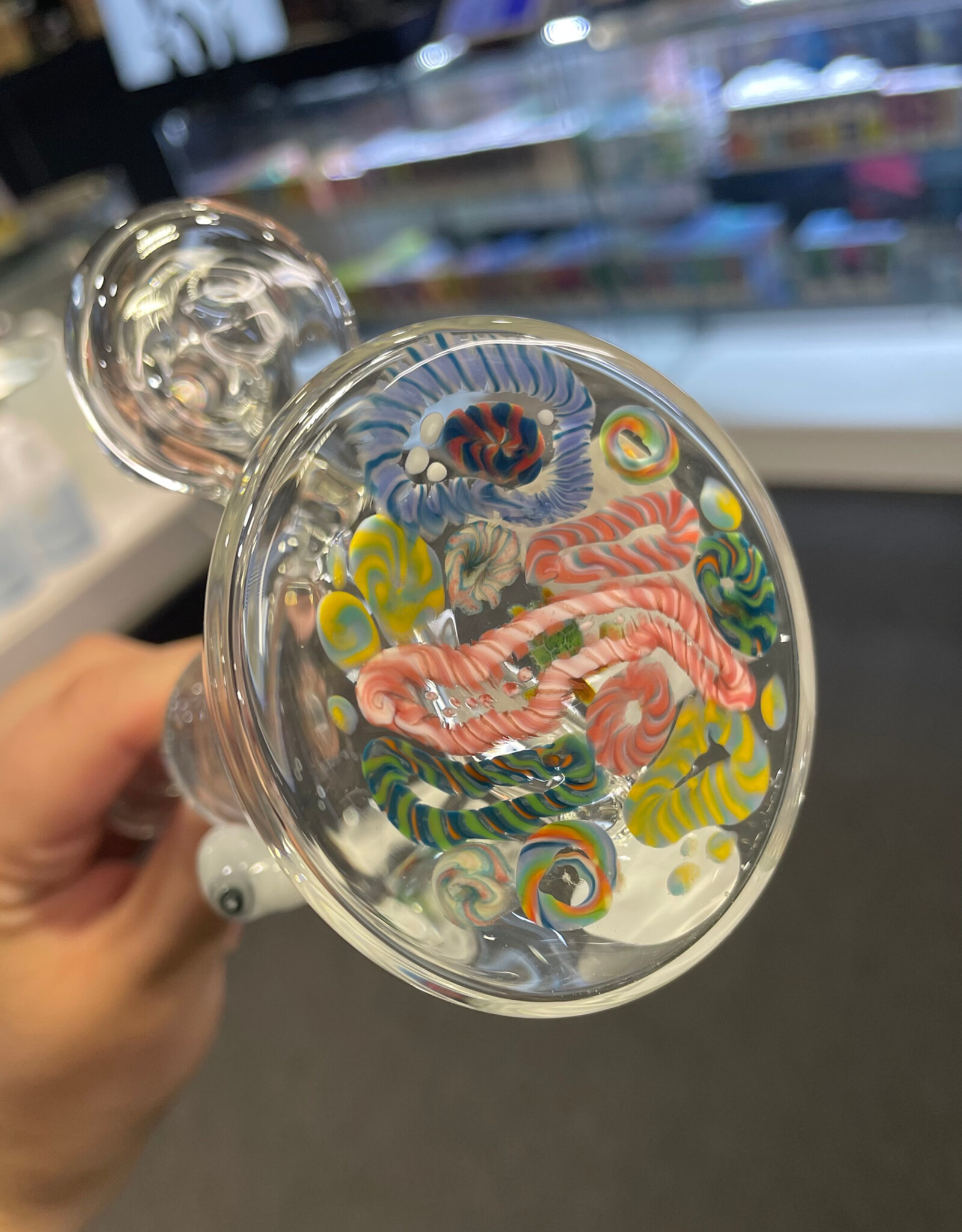 M.W.S.  Sea Scape Clear Tube w/ Turtle