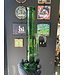 Greek Glass Greek Glass Mini Gridded Tube