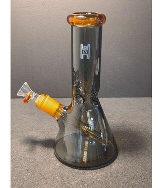 9" Beaker Waterpipe Smoke/Fume