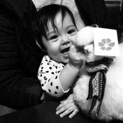 smiling child with alpaca toy