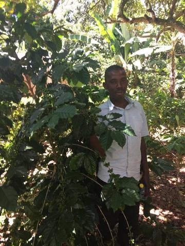 artisan with coffee plant