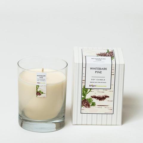 white bark candle