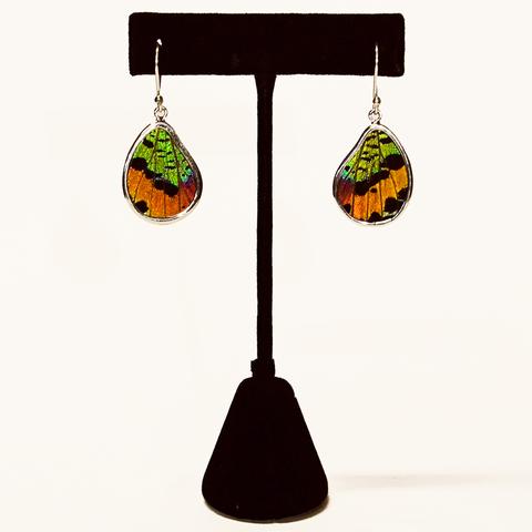 butterfly wing earrings