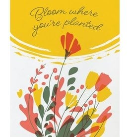 Good Paper Bloom Where Planted  Any Occasion Card