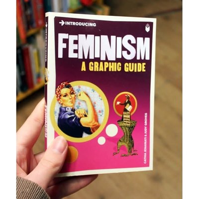 Microcosm Introducing Feminism: A Graphic Guide Paperback Book