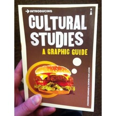 Microcosm Introducing Cultural Studies: A Graphic Guide