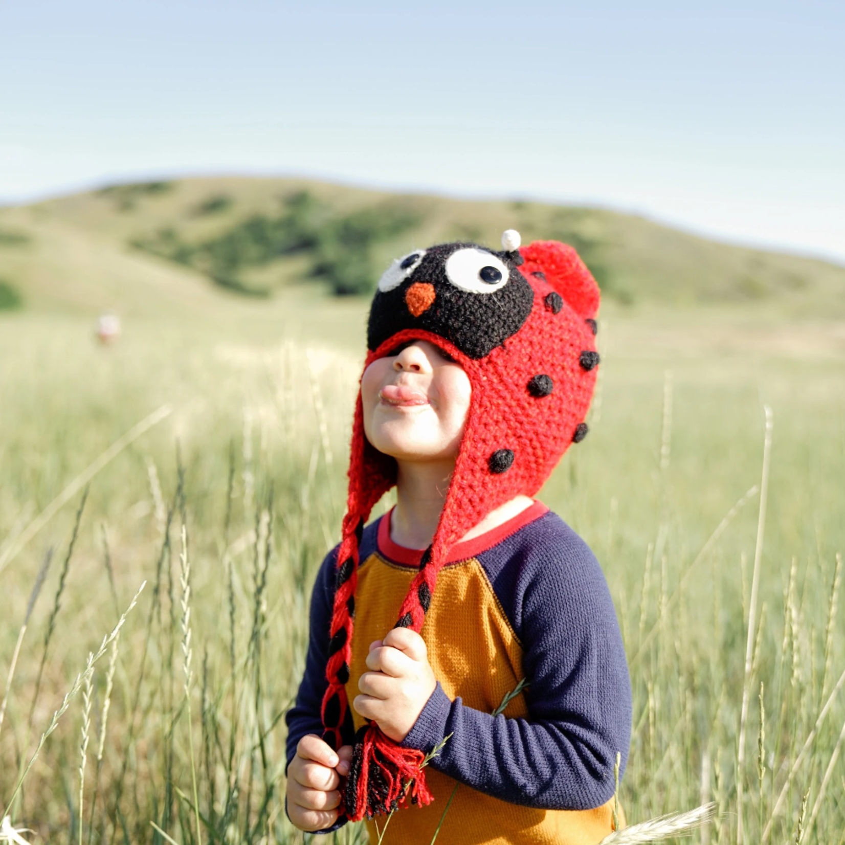 Andes Gifts Kids Animal Hat: Ladybug