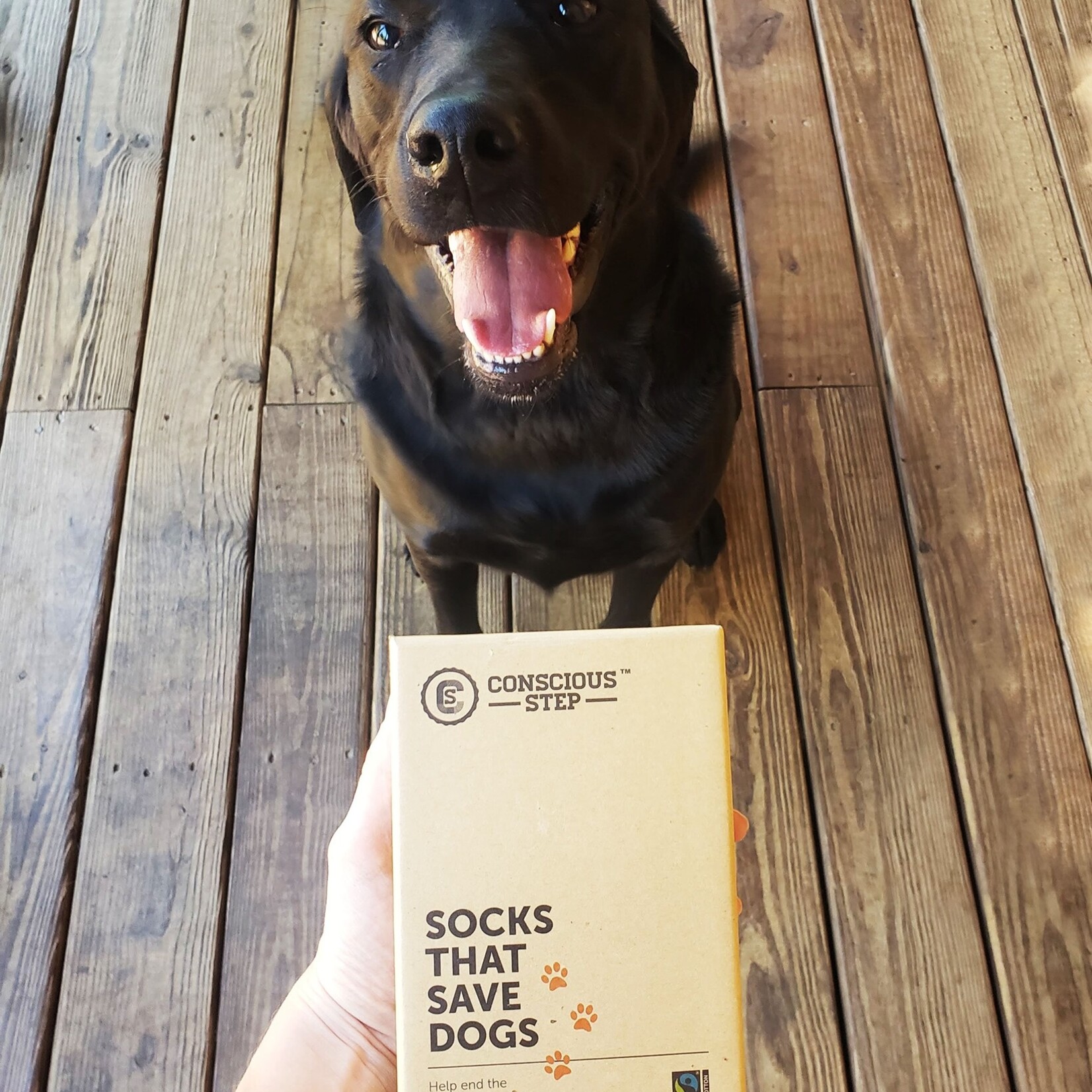 Conscious Step Socks that Save Dogs: Black