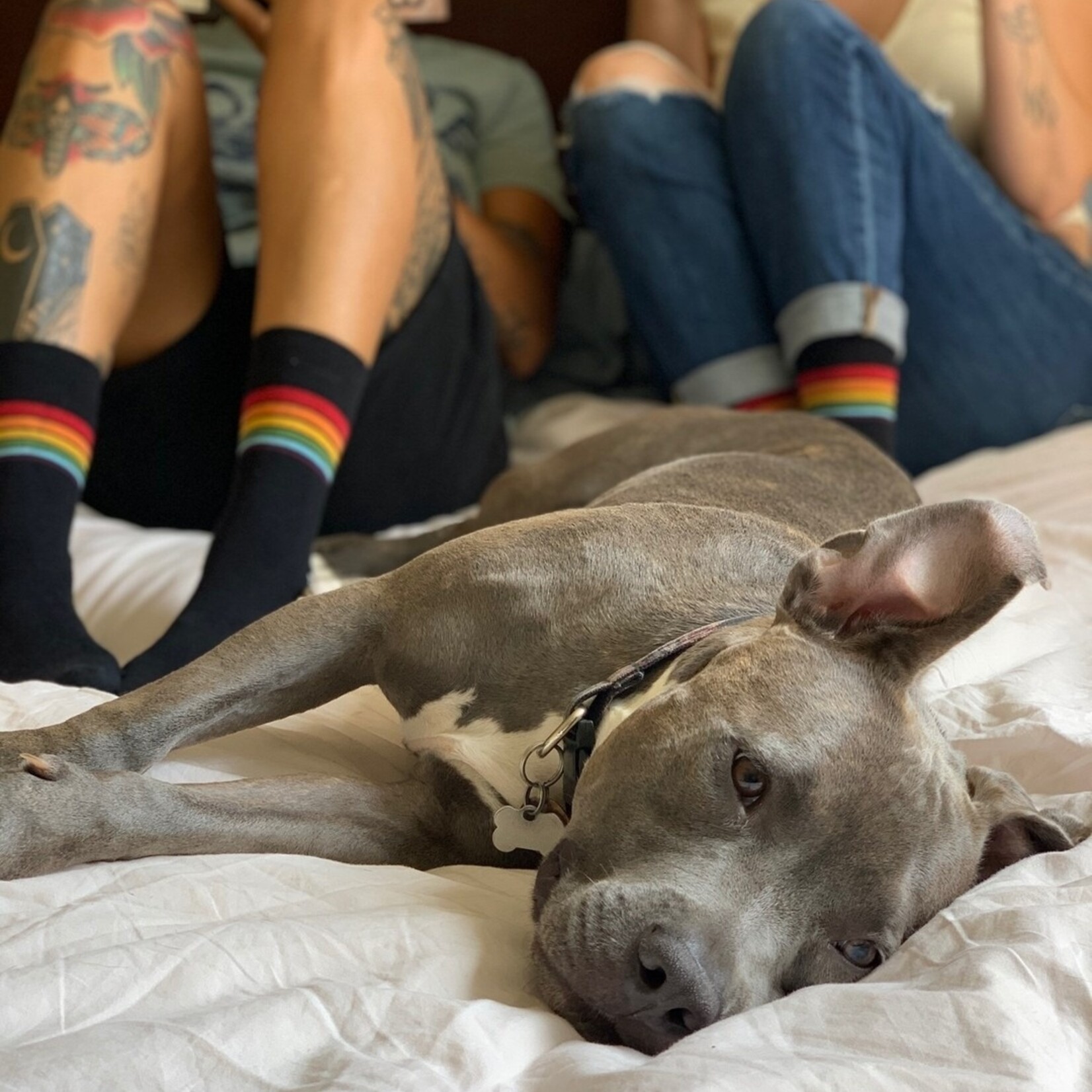 Conscious Step Socks that Save LGBTQ Lives: Black