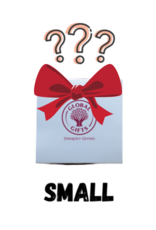 Global Gifts Holiday Ornaments Mystery Box: Small