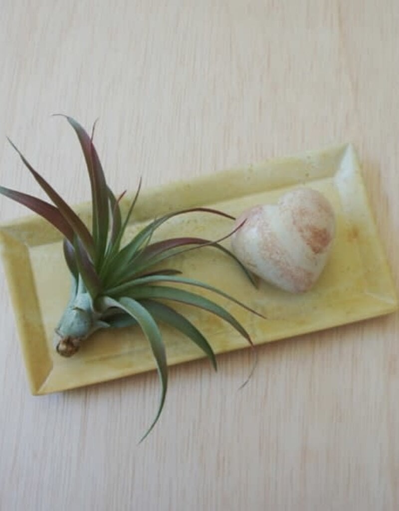 Venture Imports Kisii Natural Rectangular Dish